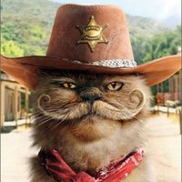 Bila (@suspendedbilamx) 's Twitter Profile Photo Bila (@suspendedbilamx) 's Twitter Profile Photo