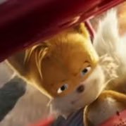 Jpiresr07's profile picture. Waffles