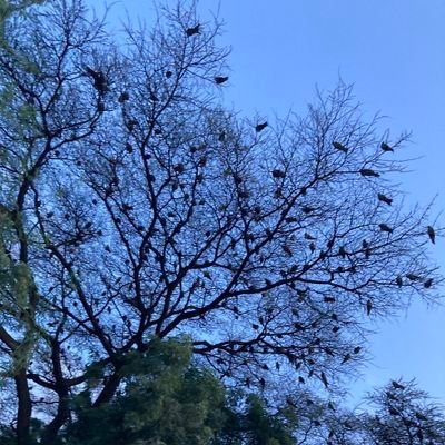 sirajakmel's profile picture. views expressed are personal; retweets are not endorsements ሰተት ...ሰተተት...ሰተተተት...ሰተተት...በገባንበት ....ሰተት...ሰተተት...ሰተተተተት ብለን ወጣን በወጣንበት።