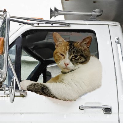 A_damn_Lynch's profile picture. Fighting old age and bullies.