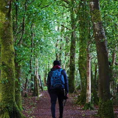 PhD student researching biodiversity conservation and restoration in Wild Nephin National Park