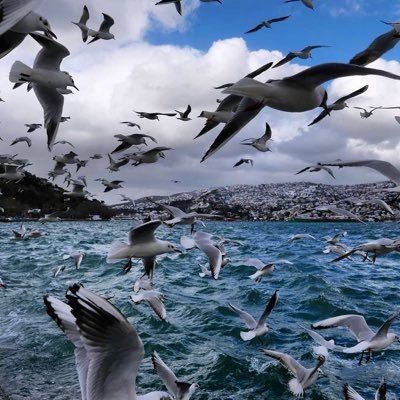 @cloudwhitecloud