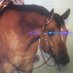 EARNED MY SPURS~Planned the ride, rode the plan. (@plannedtheride) Twitter profile photo EARNED MY SPURS~Planned the ride, rode the plan. (@plannedtheride) Twitter profile photo
