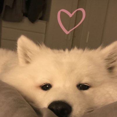 bonus_shithi's profile picture. 