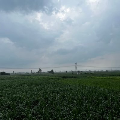 devildanny29's profile picture. Doctor with Adult ADHD, Photographer and everything in between