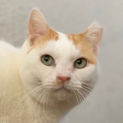 vusukewa's profile picture. フリーランスのフォトグラファーです。