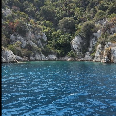 koskocahasan's profile picture. 