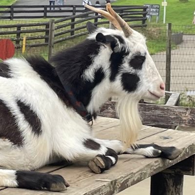 K23760744K's profile picture. トランキーロ！