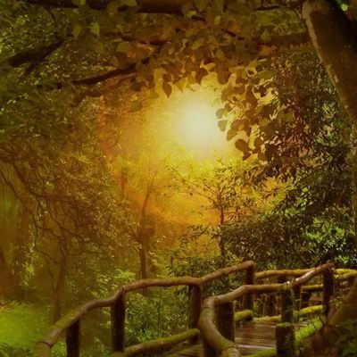 NikhilUreti's profile picture. study