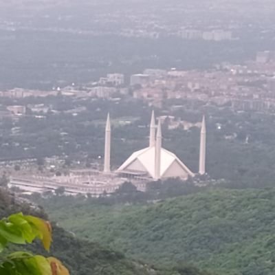 a2zallthing's profile picture. 