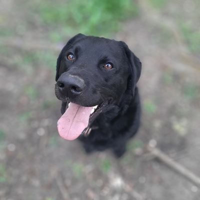 jojam73's profile picture. 