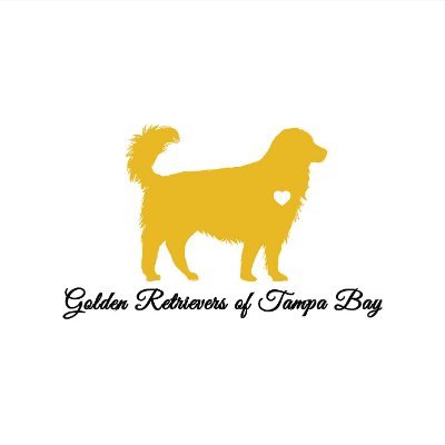 Join our FB group and like our page! IG: golden_retrievers_of_tampa_bay | Email: Goldenretrieversoftampabay@gmail.com | Newsletter: https://t.co/bNjR6mul4d