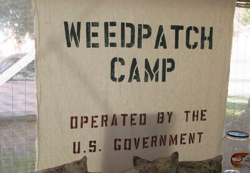 I'm Alex. I'm from Weedpatch CA. They call me Big Al. That's all.