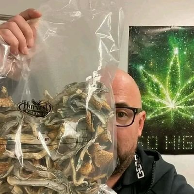 Mushroom house 🍄/ chocolate bars🍫/DMT vape/ LSD tabs/ more @Jacksonthe
