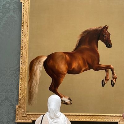 layal_Yahia's profile picture. Pharmacist,#horselover                  Everything you can imagine is real💫