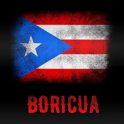 🇵🇷💪🏼 Bronx NY