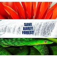 Save Mumbai's forests(@SaveMumbaifore1) 's Twitter Profile Photo