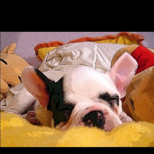 1979Natalia's profile picture. 