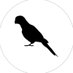 Parrot Art (@parrotartclub) Twitter profile photo Parrot Art (@parrotartclub) Twitter profile photo
