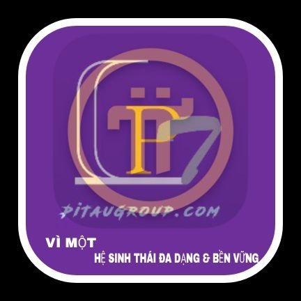 pitaugroup Profile Picture