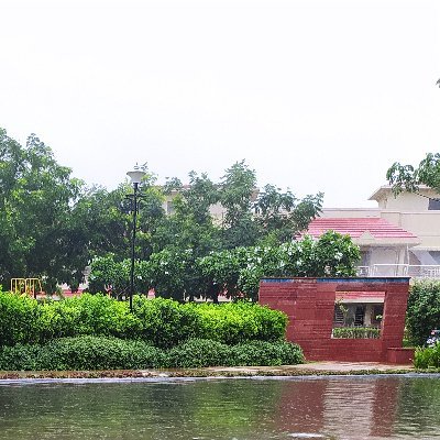 rajeshmsharma's profile picture. Helping Vegetarian 🥦🥑 Indian Men drop 10kgs of fat in 12 weeks without giving up Paneer Makhani, Paratha, and Alcohol.🍺🥪🍲