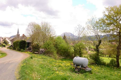 paulette911's profile picture. Fan de culture, curieuse de tout, un faible pour la littérature et j'adore me cultiver :)