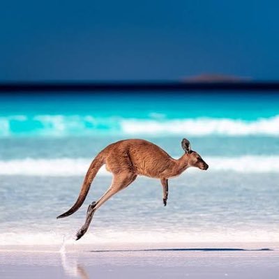 Aussie_Crypto01 Profile Picture