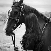 شيماء لكون ▶️ (@clchaimaa) 's Twitter Profile Photo