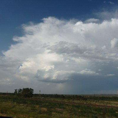 wxviking1's profile picture. 