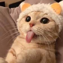 Crl_mei's profile picture. New Acc bcz twitter suspended my prev account huhu