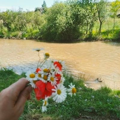 demetkl80768189's profile picture. .