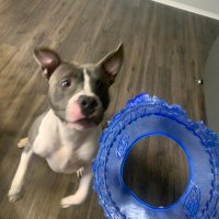 Marko_Maddness (@marko_maddness) 's Twitter Profile