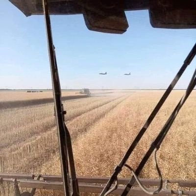 osozu14's profile picture. U