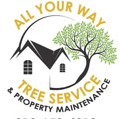 BobbyBo98370807's profile picture. We are a Locally Black and Family owned Business in the Tampa Bay Area. Our Services include Hazardous Tree Removals, Demolition Services and many more!