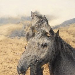 ErinEri42268733's profile picture. My