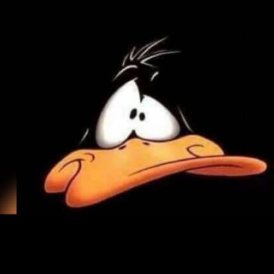 dermitBecher's profile picture. 