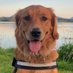 Neil Smith (@weaverspoint1) Twitter profile photo Neil Smith (@weaverspoint1) Twitter profile photo