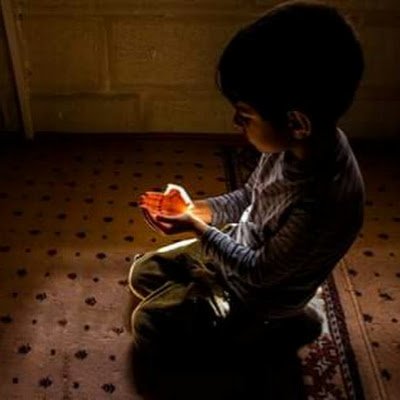 aub_wissam's profile picture. 