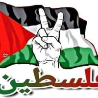 Omar Syad (@omarsyad4) 's Twitter Profile