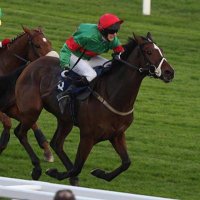 Theracingbogger (@racingbogger) 's Twitter Profile