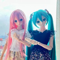 dollfie333(@HD_fxr86) 's Twitter Profile Photo