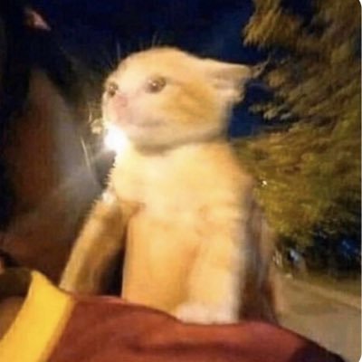 dinostillexist's profile picture. 