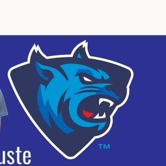 The Official Twitter account of Rust College Men and Women Tennis
( @gcacinfo )