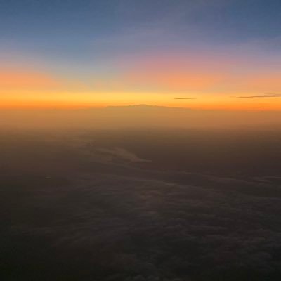 LachoG4's profile picture. 