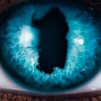 cristina marras (@cristinamarras1) 's Twitter Profile