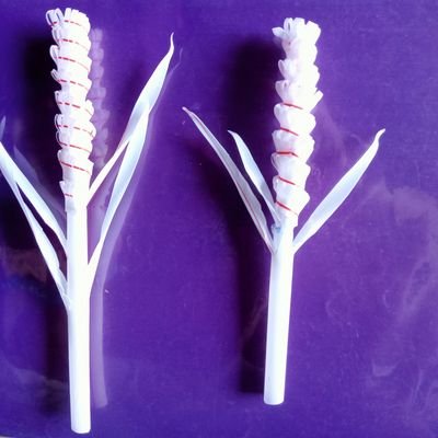 sinh87410109's profile picture. Sống chân thành