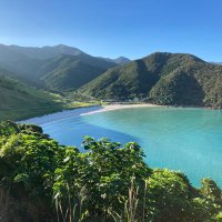 curling surgeon (@curling_surgeon) 's Twitter Profile Photo