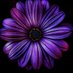 Haley Morgan (@haleymo77097281) Twitter profile photo Haley Morgan (@haleymo77097281) Twitter profile photo