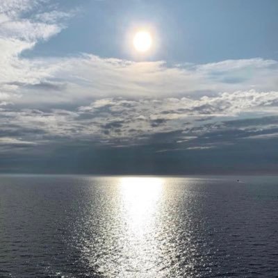 David41617559's profile picture. Work Hard