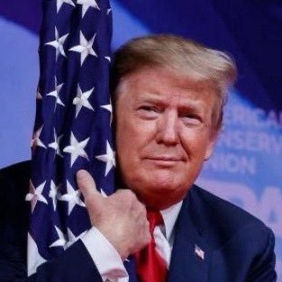 SilentSparrow45's profile picture. 